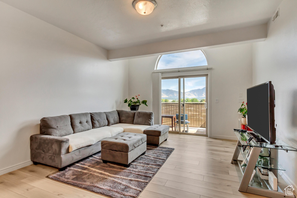 Living room featuring light hardwood / wood-style flooring
