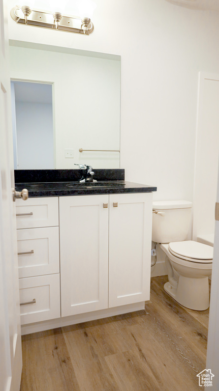 Bathroom with vanity, toilet, and hardwood / wood-style flooring