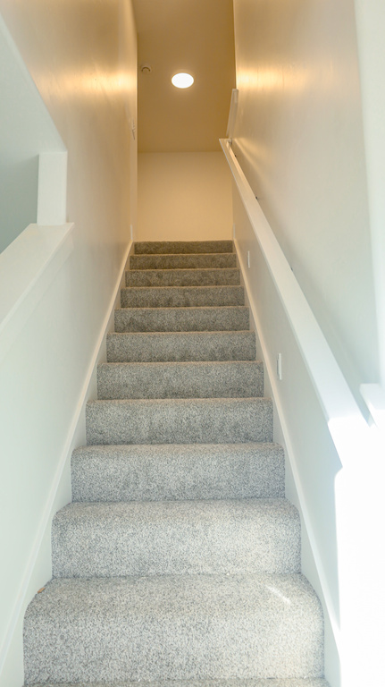 Stairs with carpet flooring