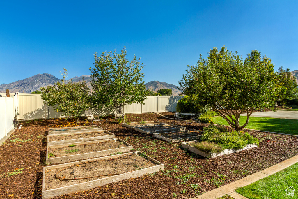 View of yard featuring a mountain view