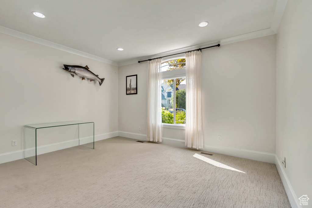 Carpeted spare room featuring ornamental molding