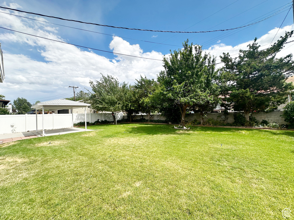 View of yard featuring a patio area