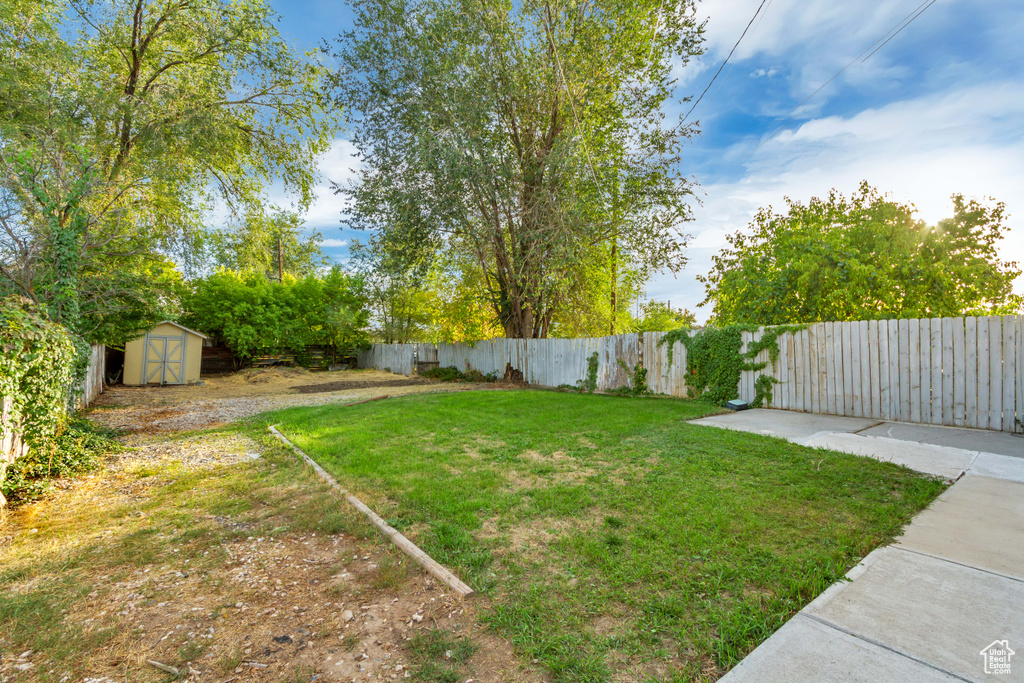 View of yard featuring a shed