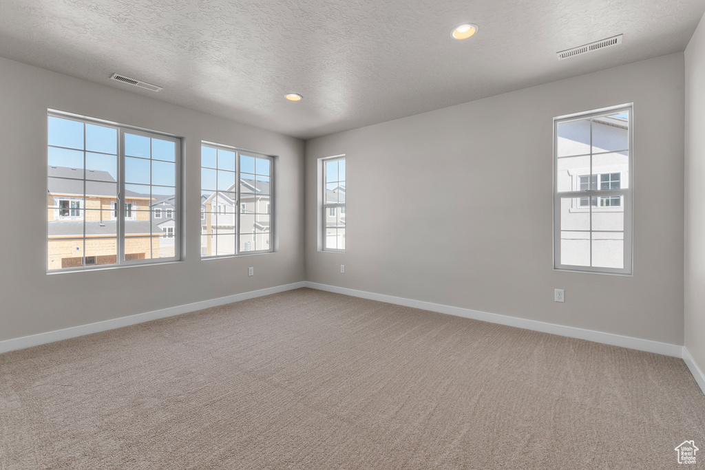 Empty room featuring a textured ceiling, a healthy amount of sunlight, and carpet floors