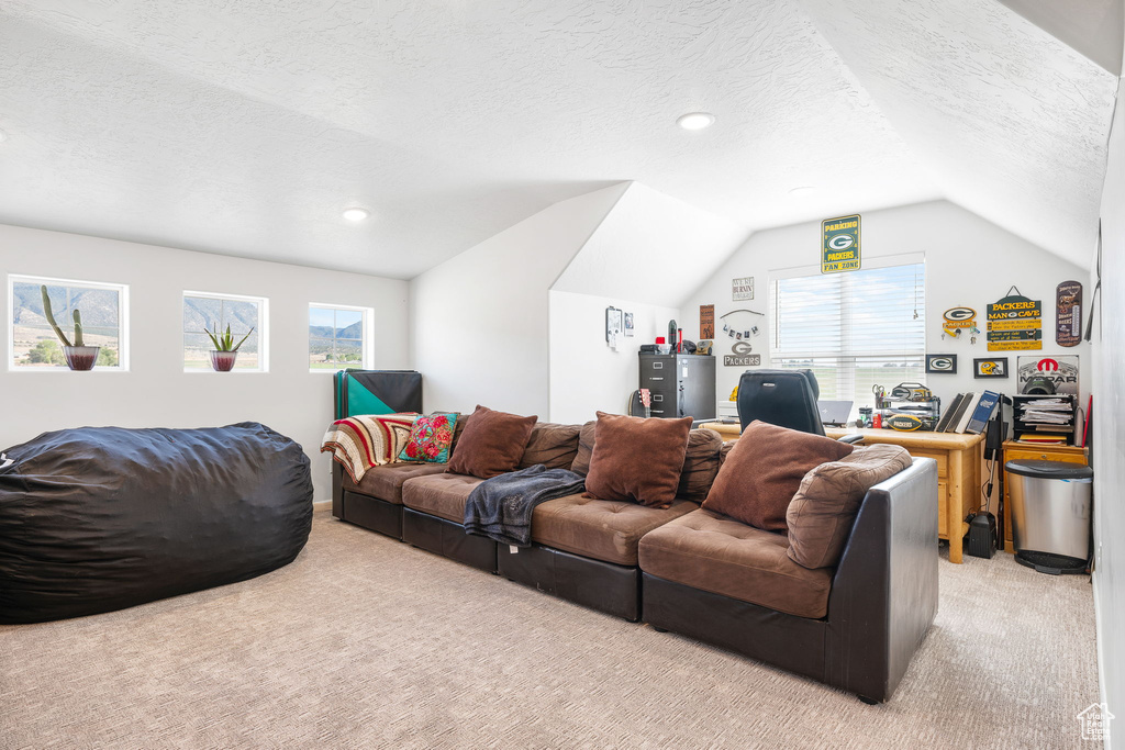 Living room featuring vaulted ceiling, a textured ceiling, light colored carpet, and water heater