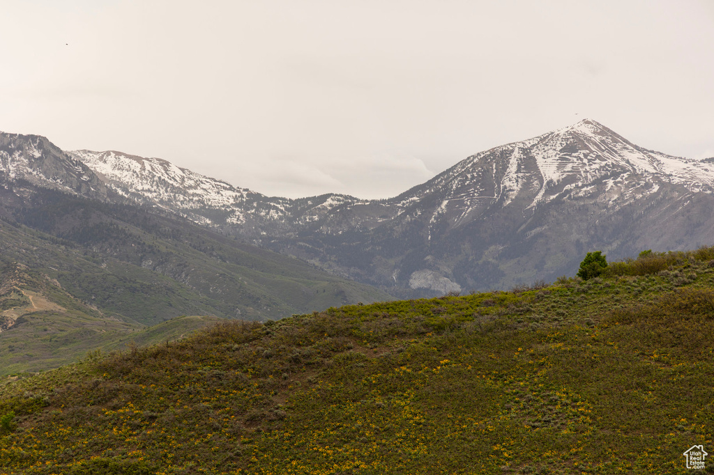 Mountain view