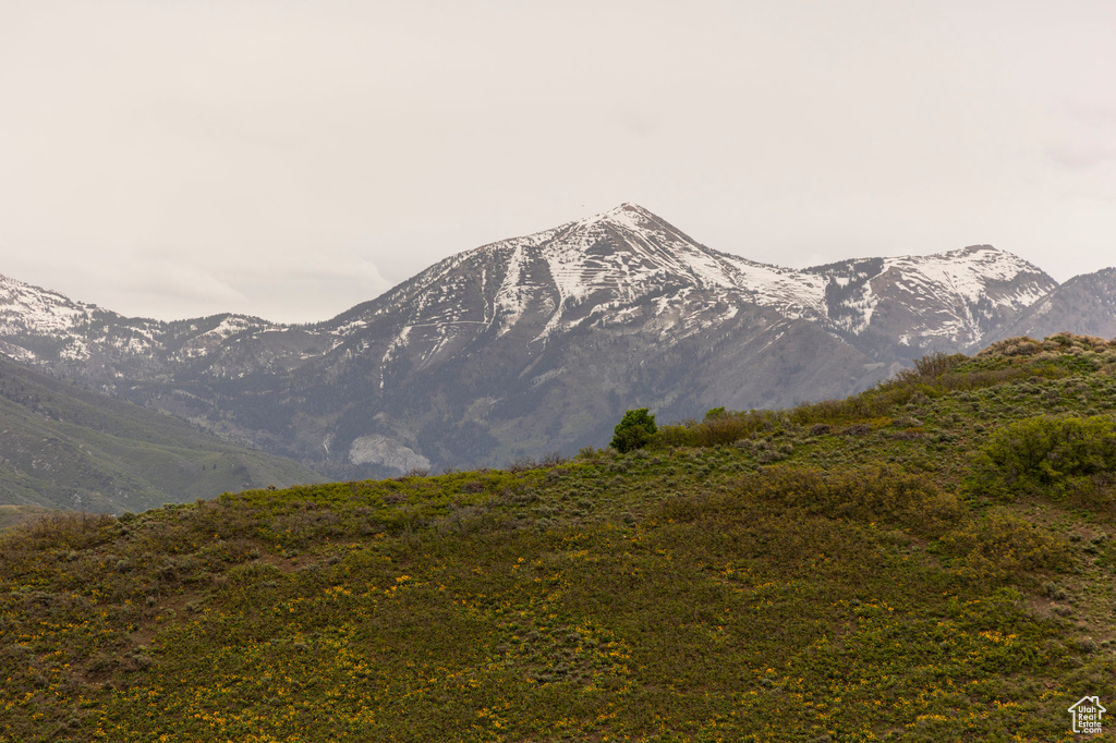 View of mountain background