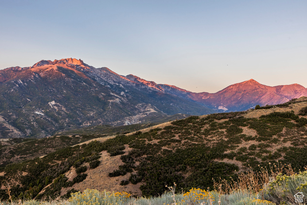 Mountain view