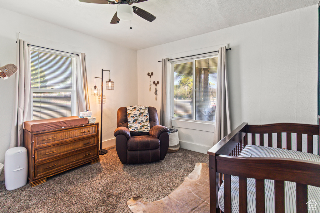 Bedroom featuring ceiling fan, a textured ceiling, carpet, and multiple windows