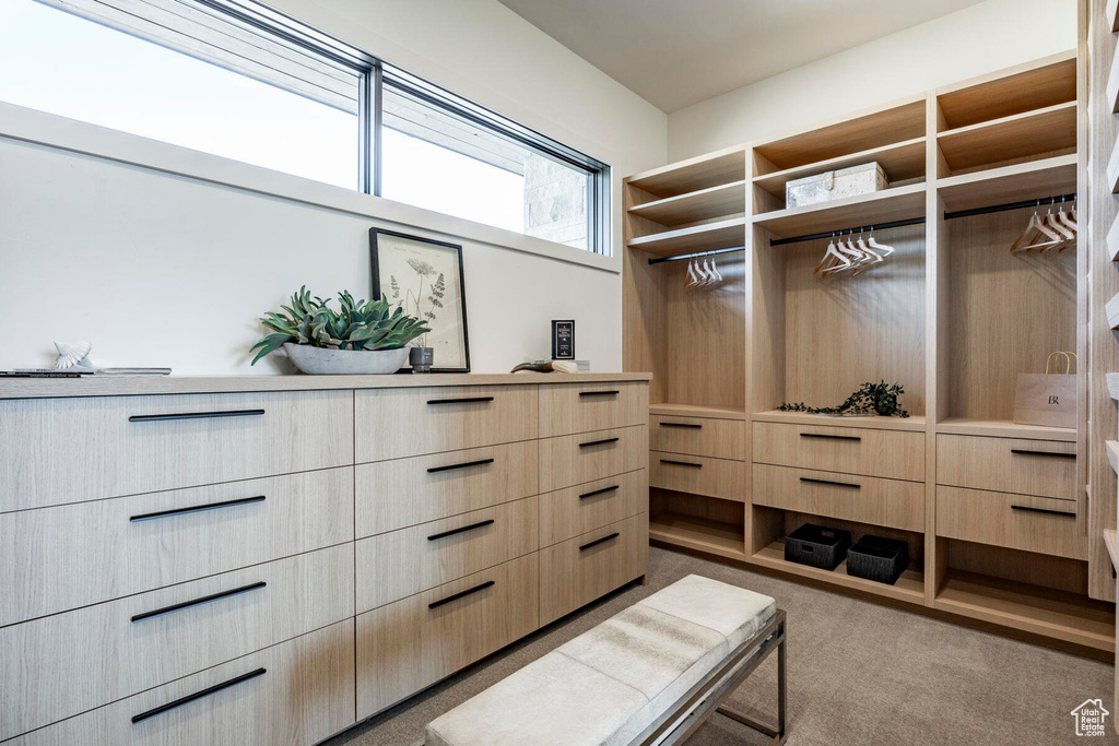 Spacious closet featuring carpet floors