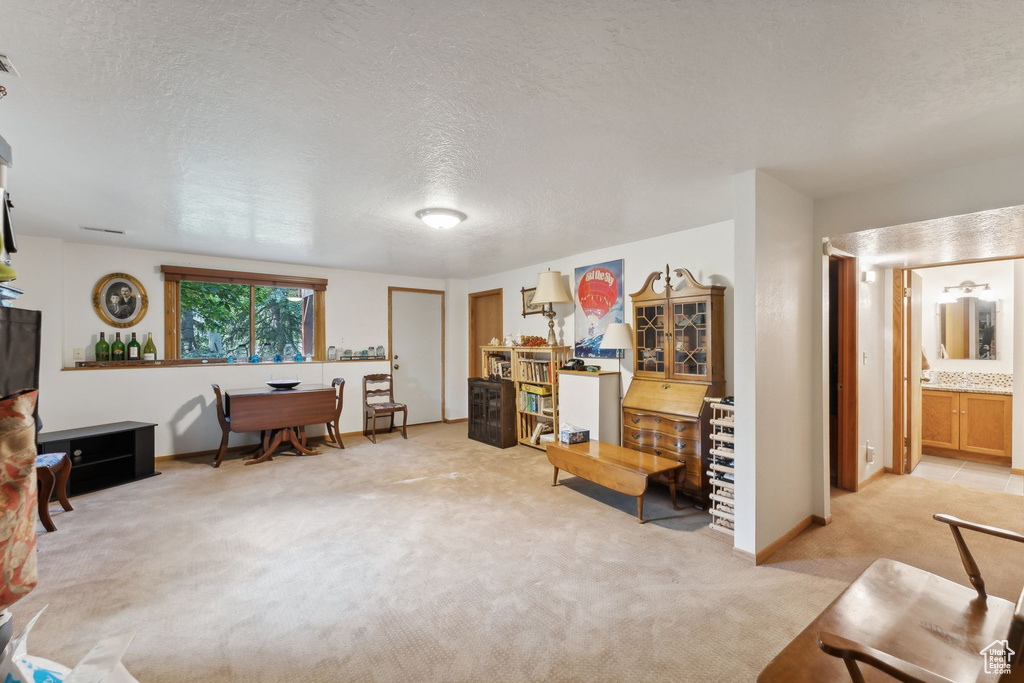 Sitting room featuring light carpet and a textured ceiling