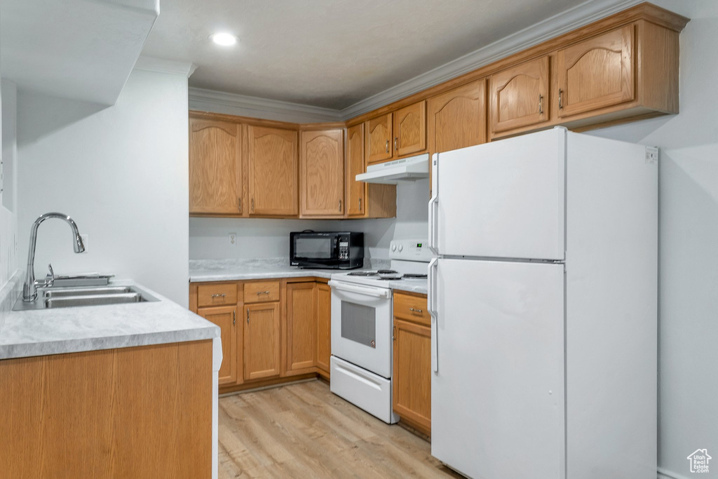 Kitchen with ornamental molding, light hardwood / wood-style floors, sink, and white appliances