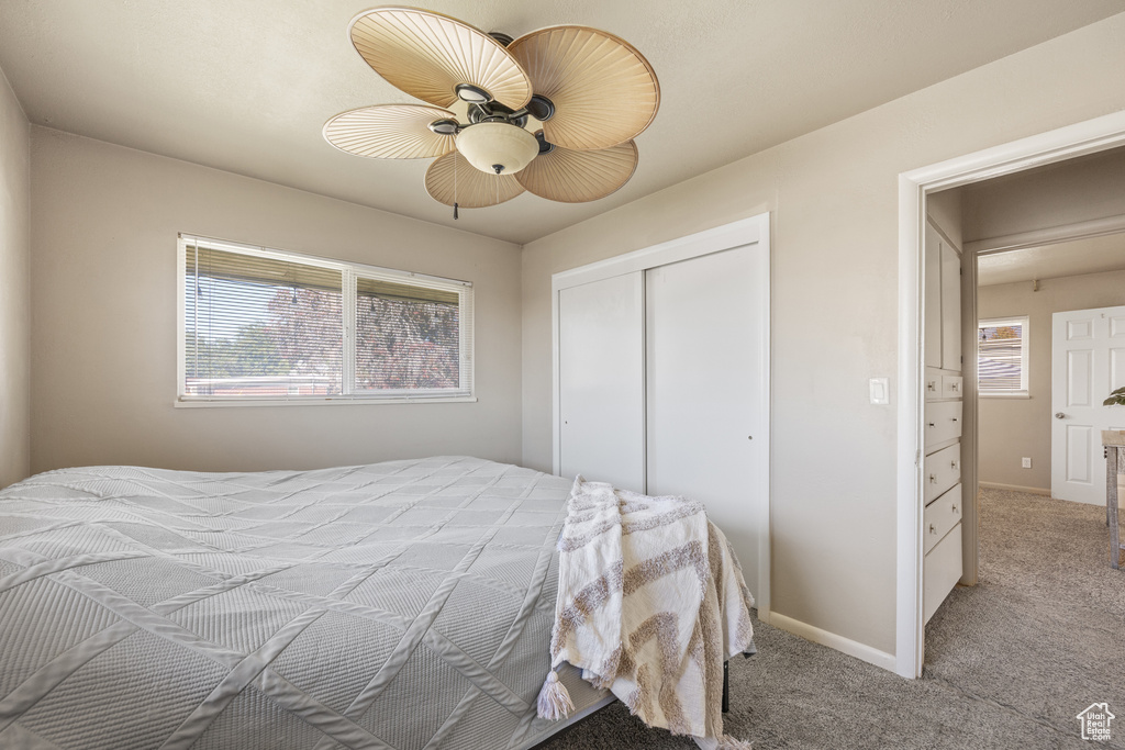 Bedroom featuring multiple windows, ceiling fan, light colored carpet, and a closet