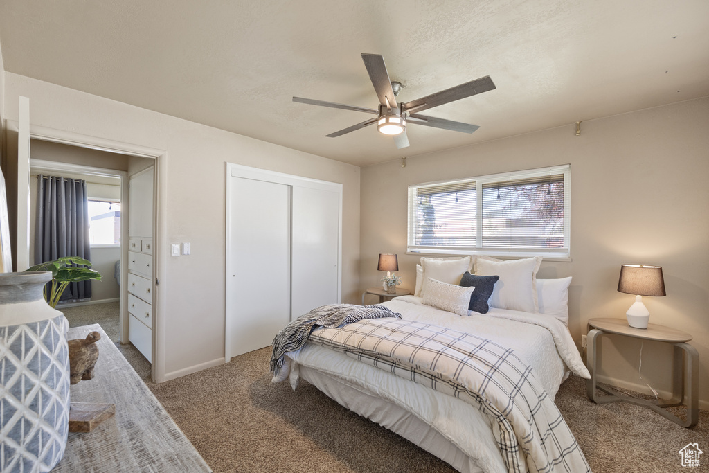 Bedroom featuring carpet floors, ceiling fan, and a closet