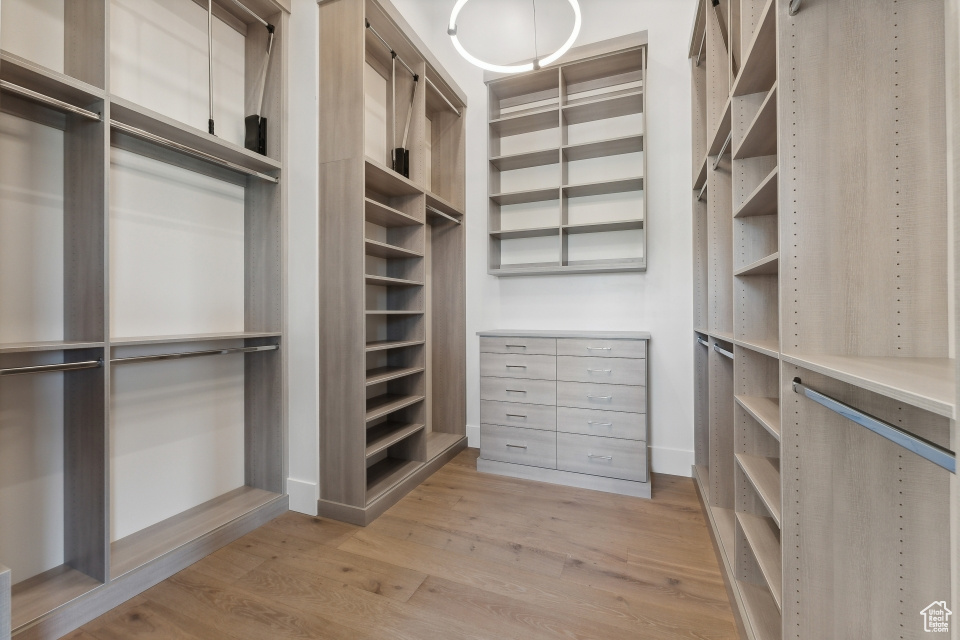 Walk in closet with light hardwood / wood-style flooring