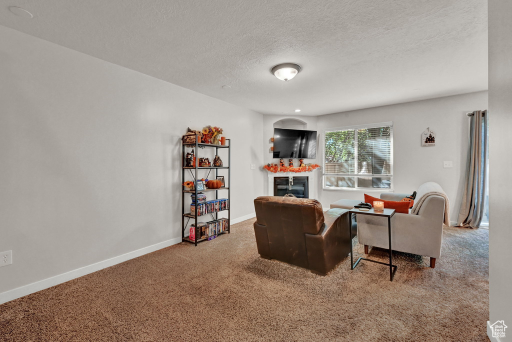 Carpeted living room featuring a textured ceiling