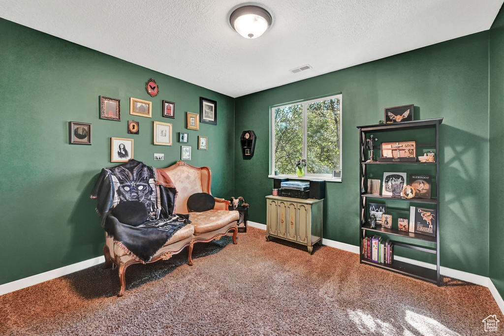 Living area with a textured ceiling and carpet