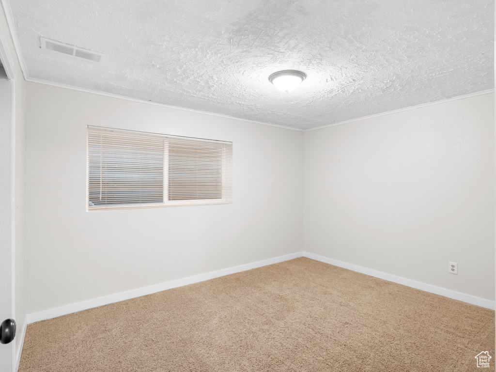 Spare room with a textured ceiling, ornamental molding, and carpet