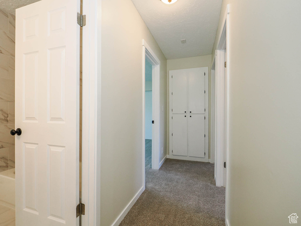 Hall with a textured ceiling and carpet