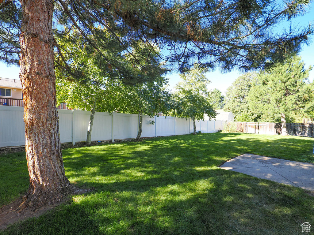 View of yard featuring a patio