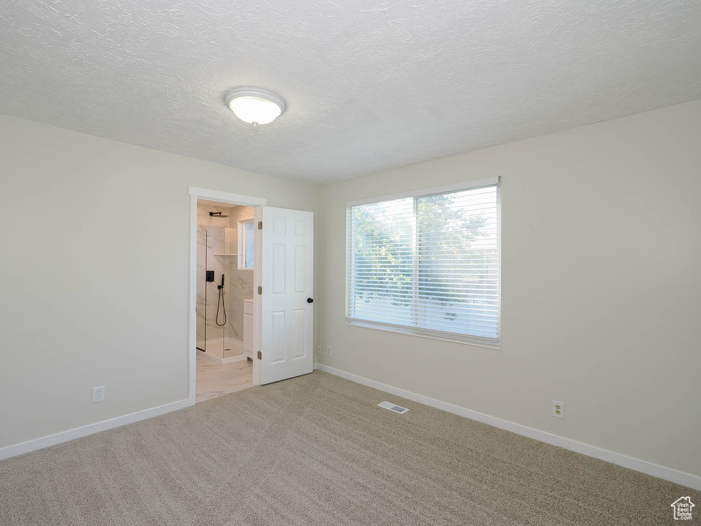 Empty room featuring light colored carpet and a textured ceiling