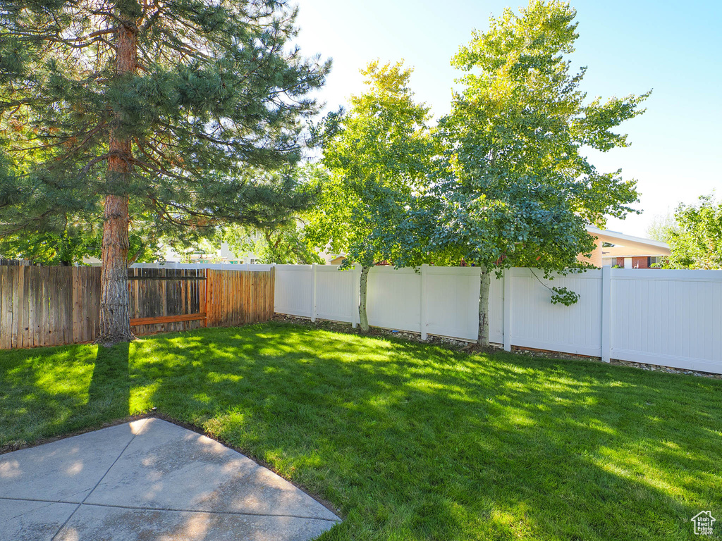 View of yard featuring a patio