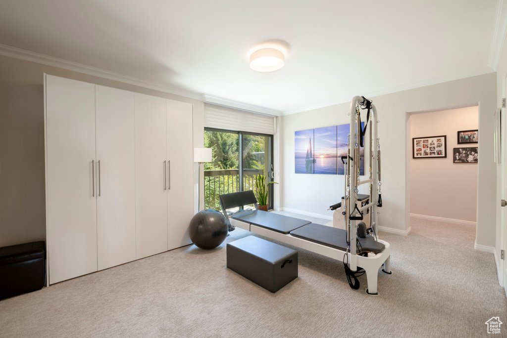 Workout area featuring light carpet and crown molding