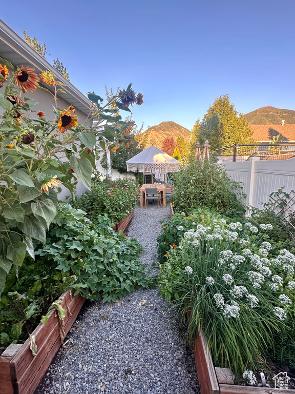 View of yard featuring a mountain view and a patio area