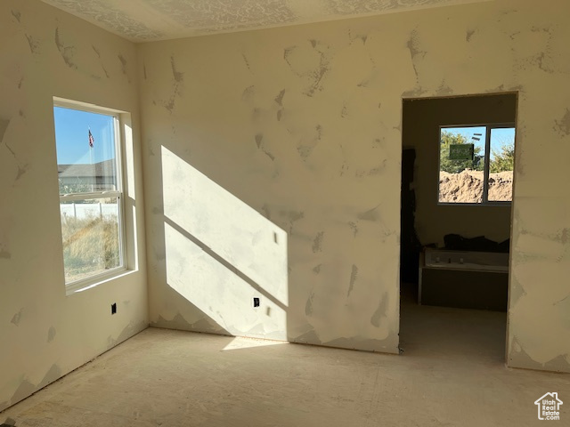 Spare room featuring plenty of natural light