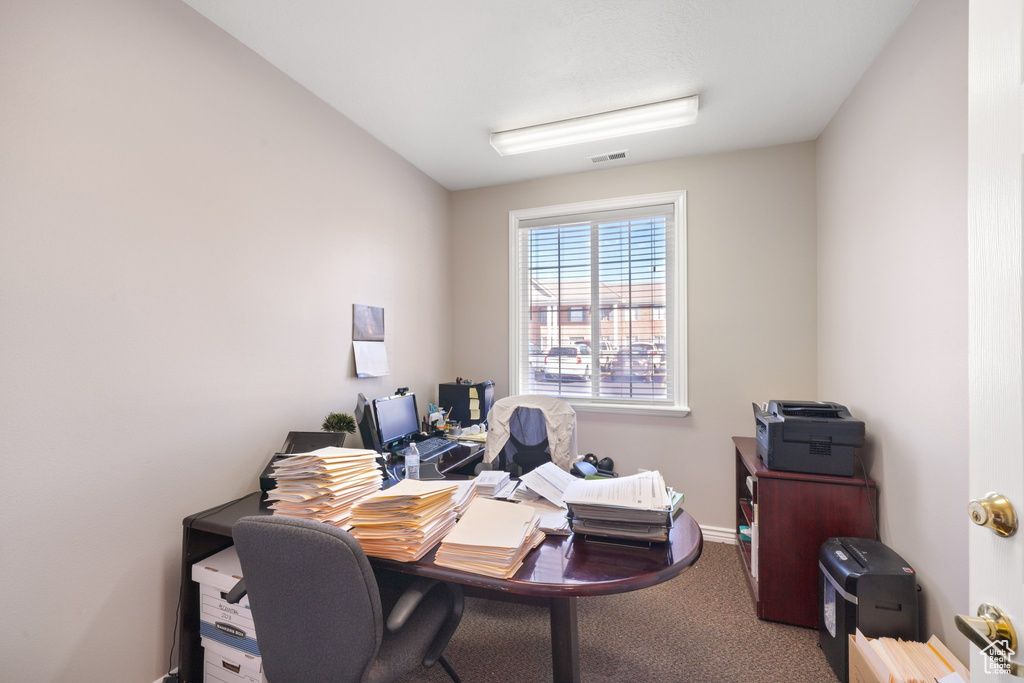 Office space featuring carpet floors