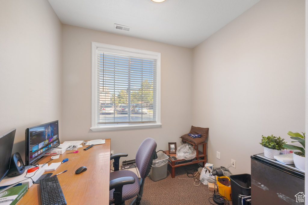 Carpeted office space with a healthy amount of sunlight