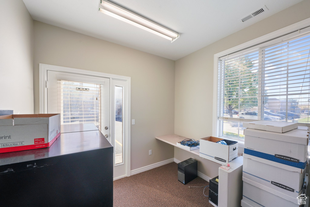 Carpeted office space featuring a wealth of natural light
