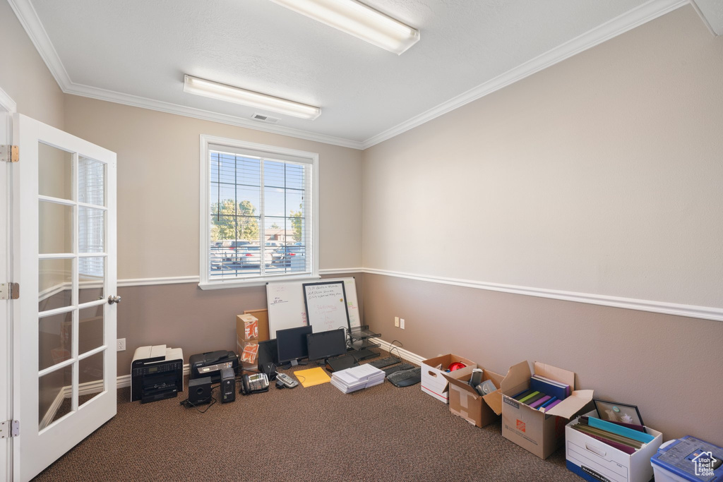 Miscellaneous room with carpet and ornamental molding