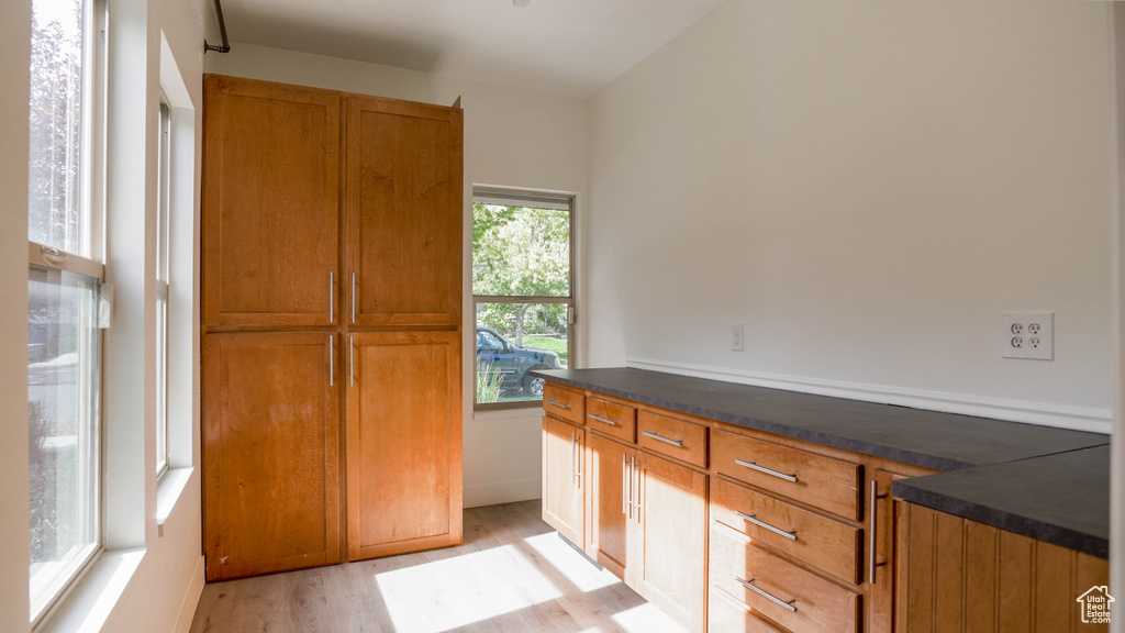 Bathroom featuring wood-type flooring