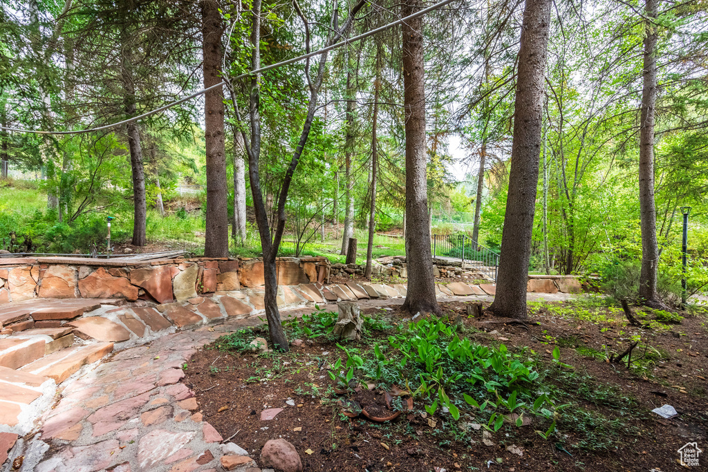 View of yard featuring a patio area