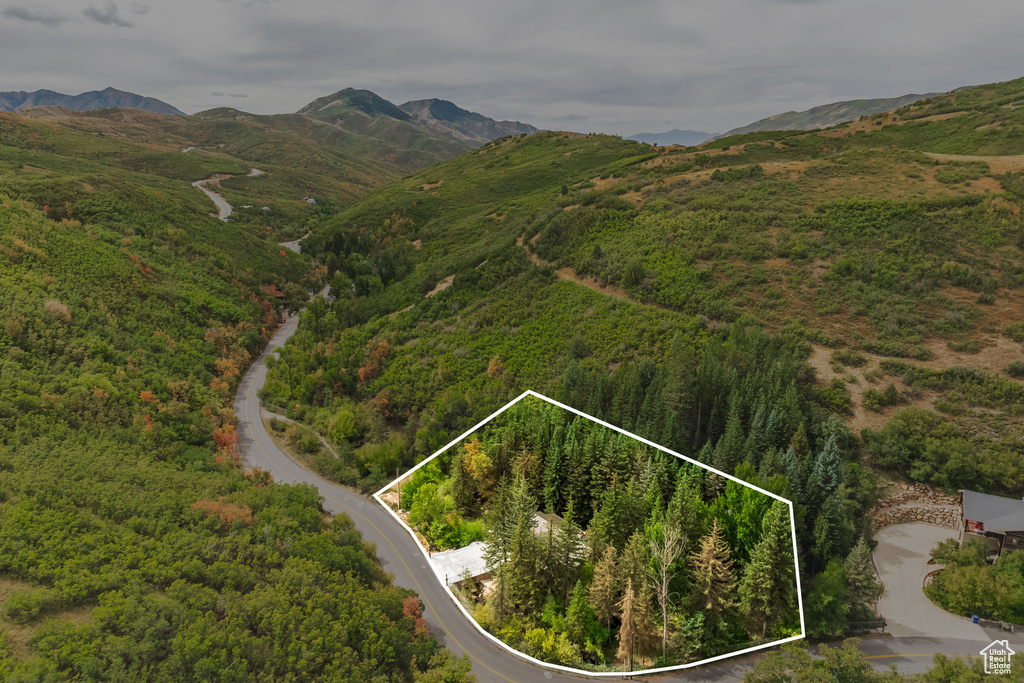 Bird's eye view featuring a mountain view