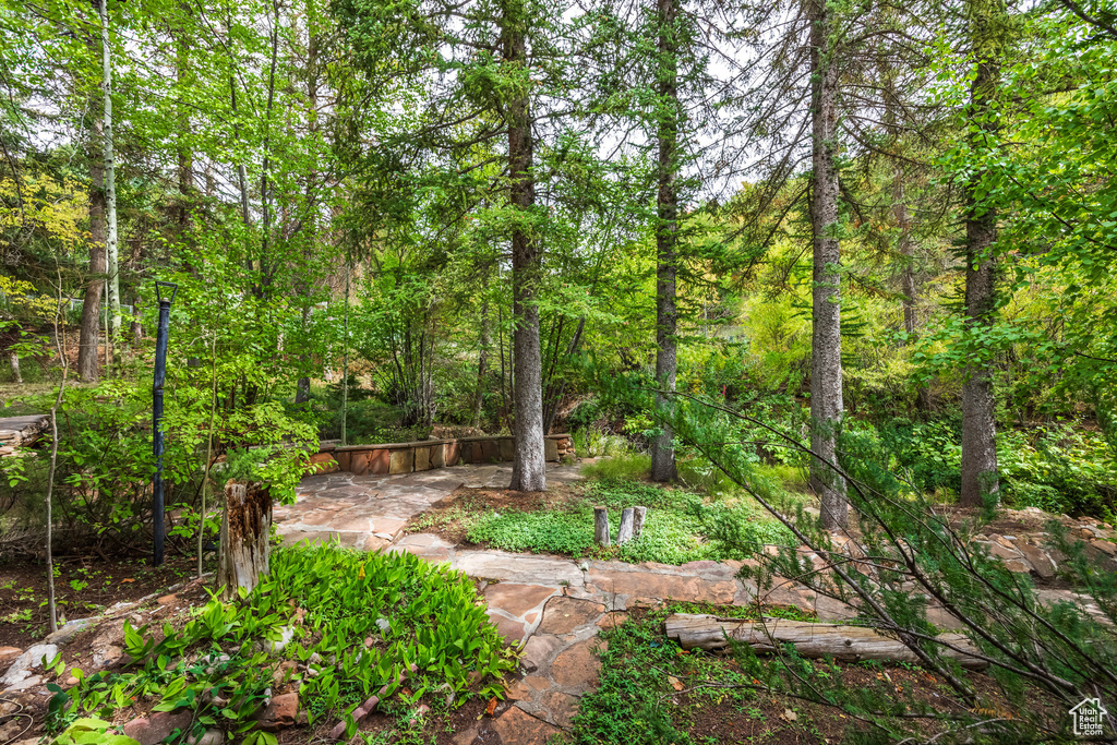 View of yard with a patio