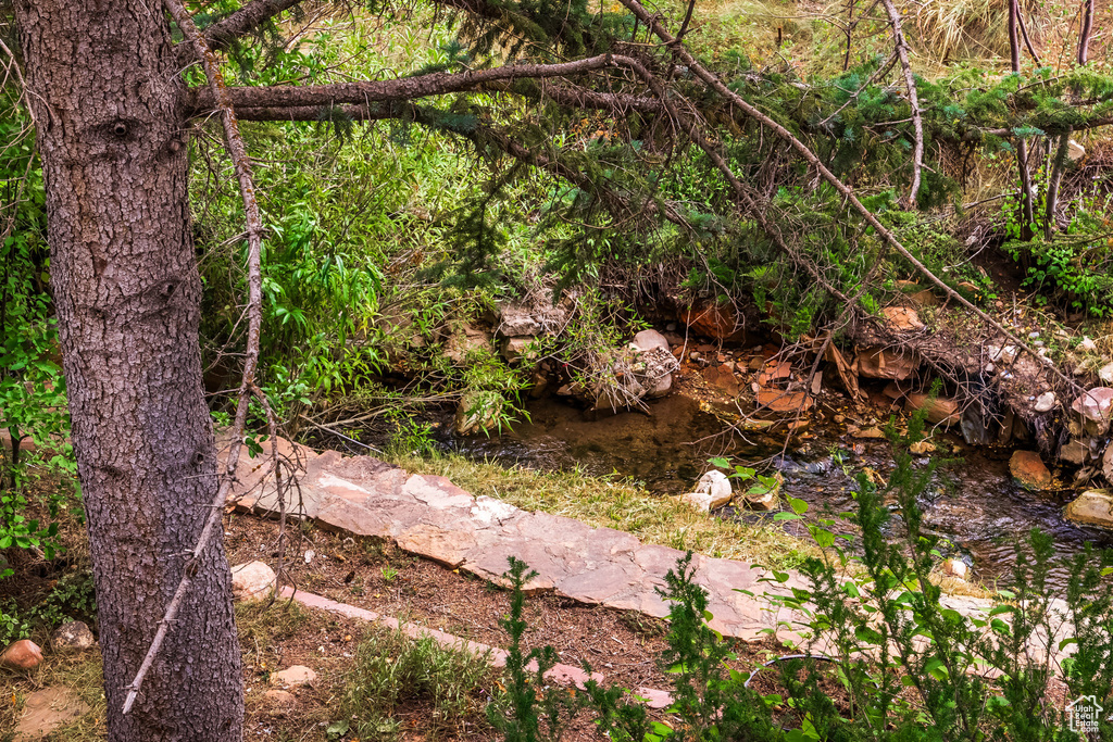 View of nature