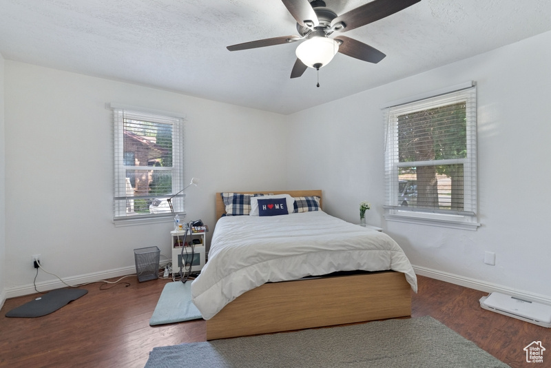 Bedroom featuring dark wood-type flooring, multiple windows, ceiling fan, and a textured ceiling