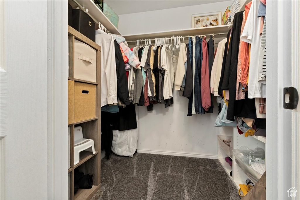 Walk in closet featuring dark carpet