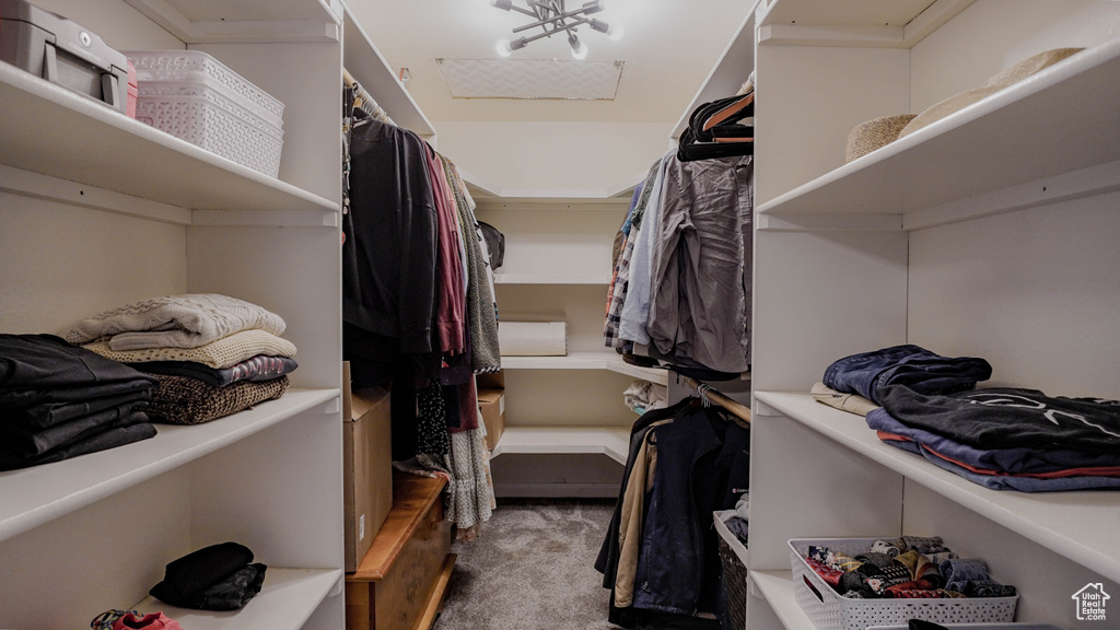 Spacious closet featuring carpet floors