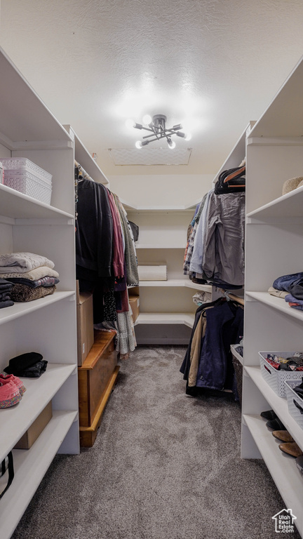 Spacious closet featuring dark carpet