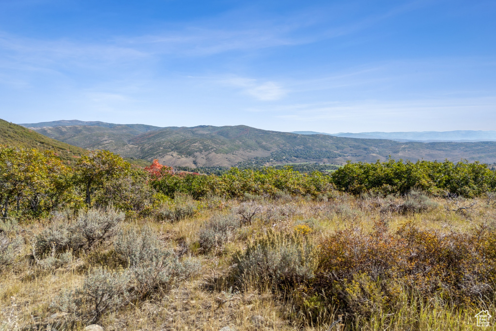 View of mountain feature