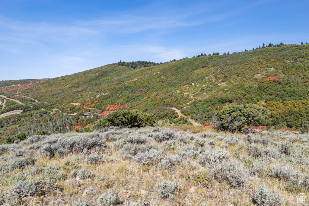 Property view of mountains