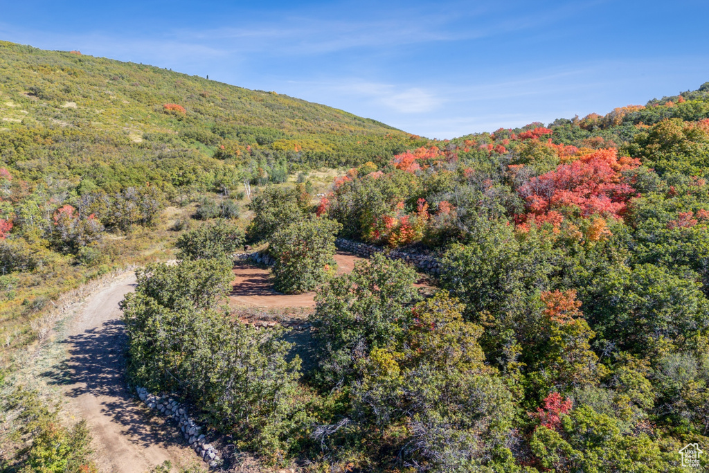 Property view of mountains