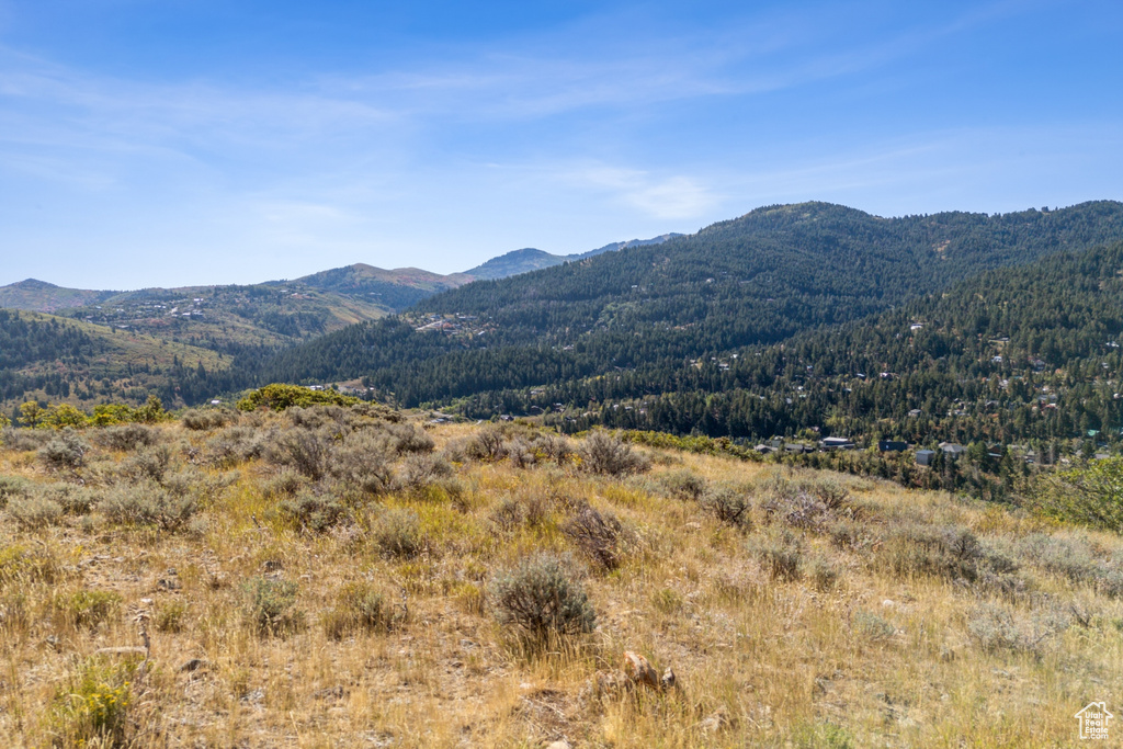 View of mountain feature