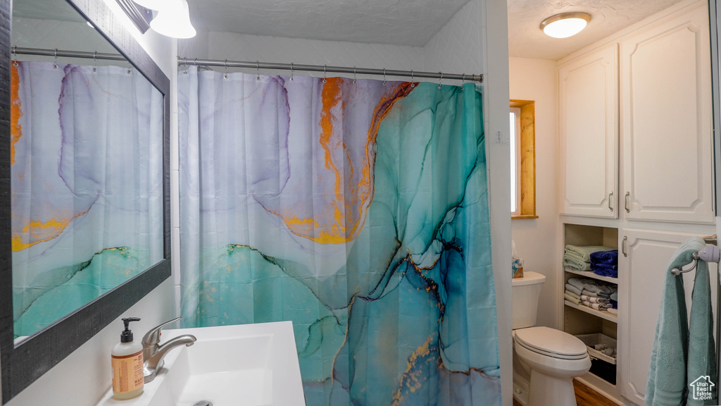 Bathroom with vanity, a textured ceiling, toilet, and hardwood / wood-style flooring