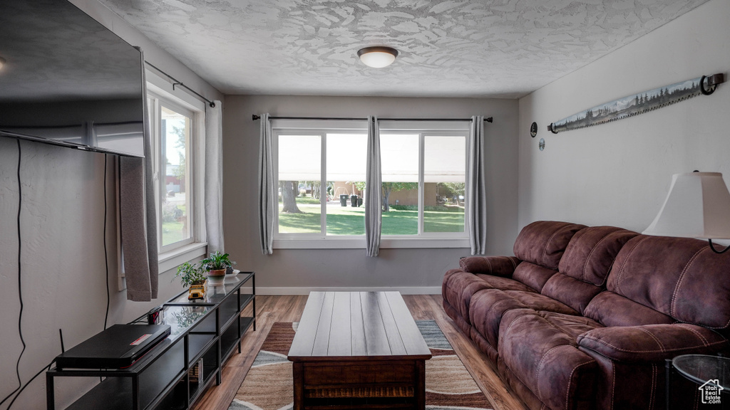 Living room featuring light wood-type flooring, a textured ceiling, and plenty of natural light