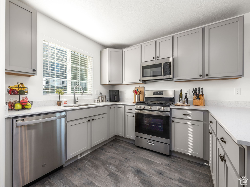 Kitchen with gray cabinets, stainless steel appliances, and sink