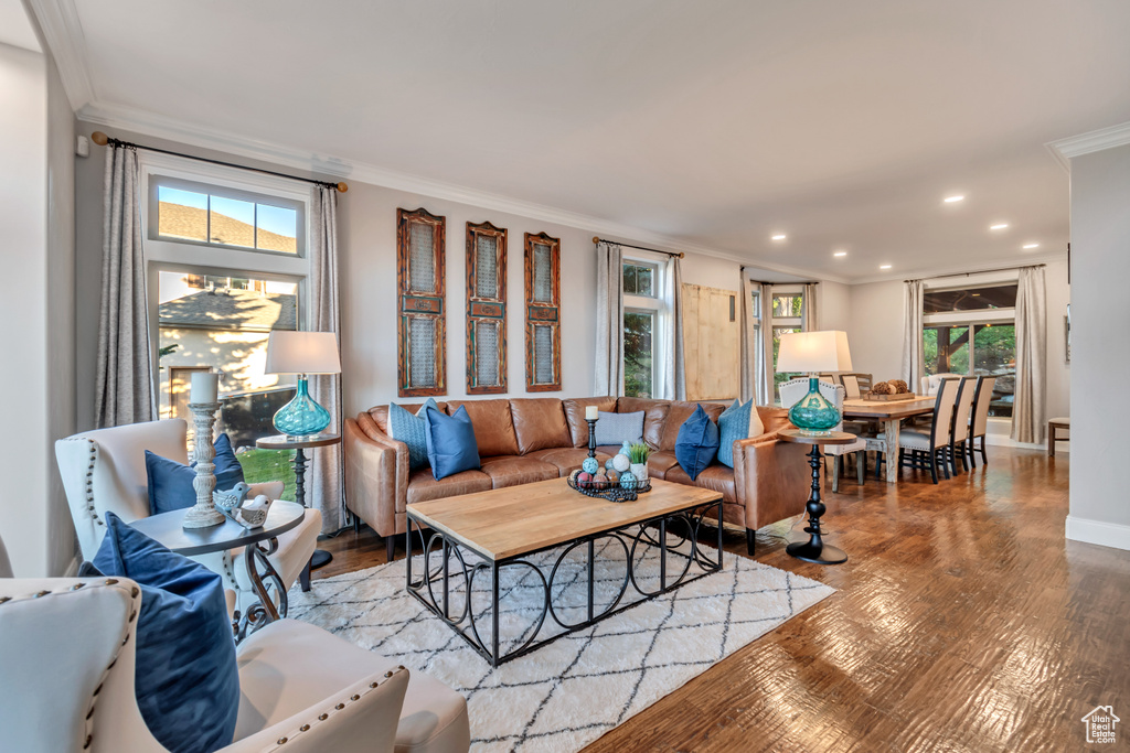 Living room featuring ornamental molding, a wealth of natural light, and light hardwood / wood-style flooring